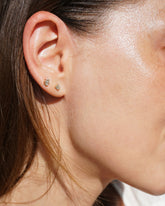 Snowflake gray and white diamond Earrings